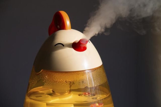 humidifier