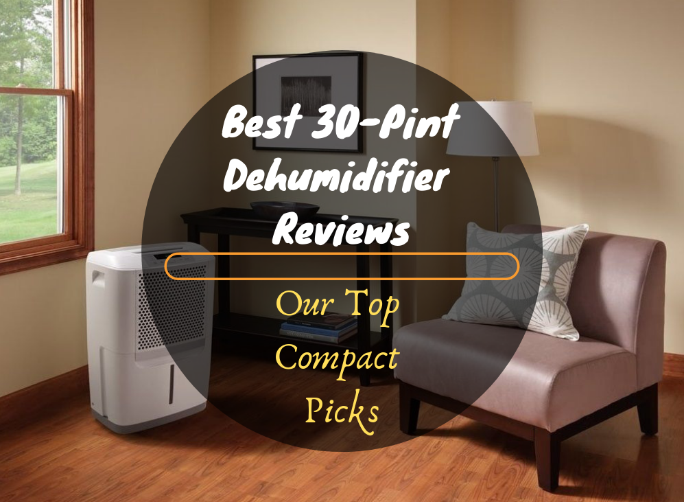 Best 30-Pint Dehumidifier Reviews featured image