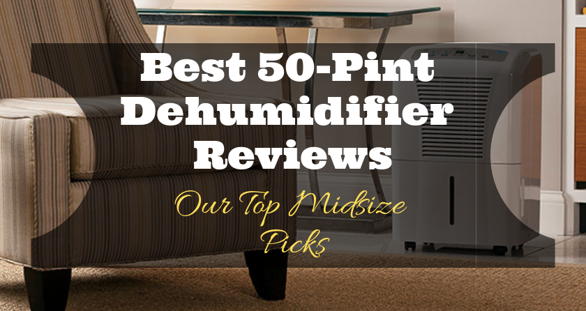 Best 50-Pint Dehumidifier Reviews