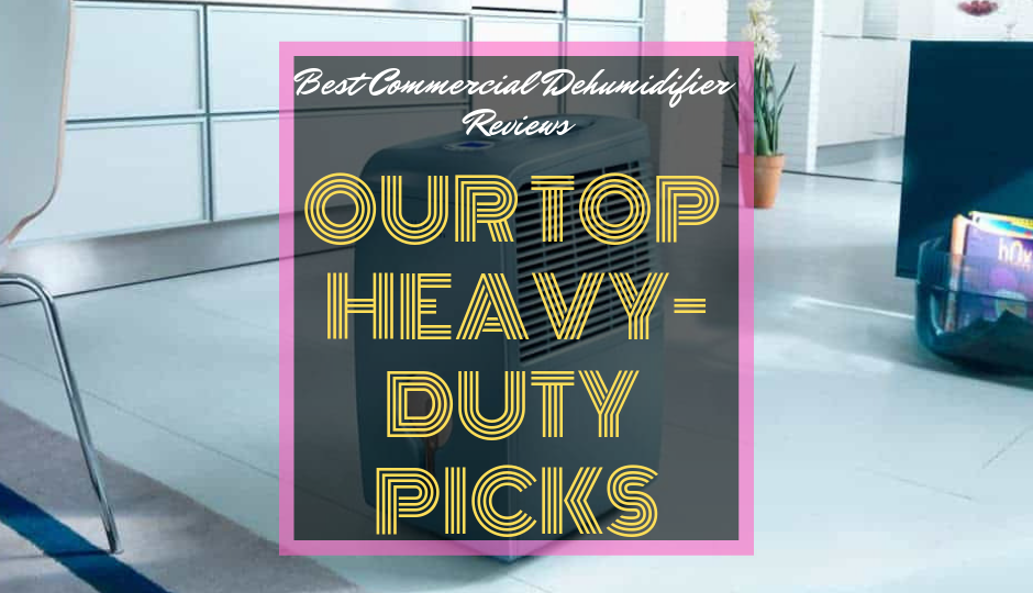 Best Commercial Dehumidifier Reviews featured image