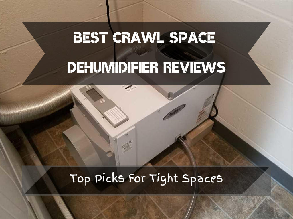 Best Crawl Space Dehumidifier Reviews