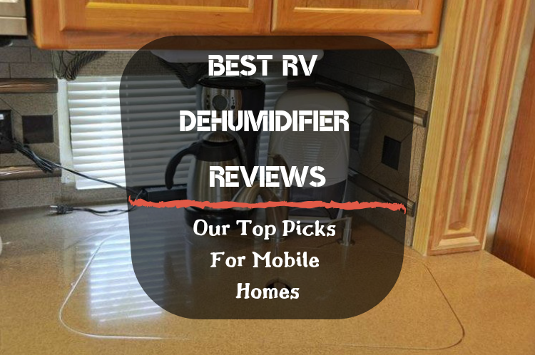 Best RV Dehumidifier Reviews featured image