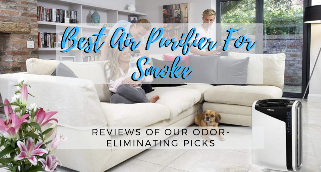 best air purifier for odor elimination