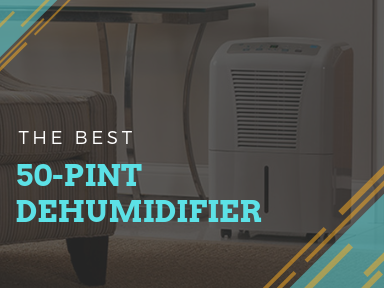 Best 50-Pint Dehumidifier